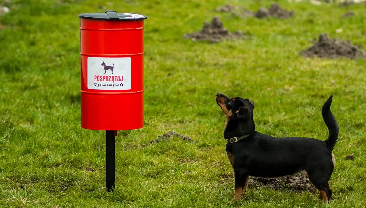 Čtyřnozí přátelé