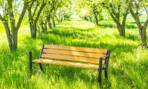 Lavička Gladiator BIS s opěrkou