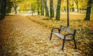 Lavička Spartan Solid