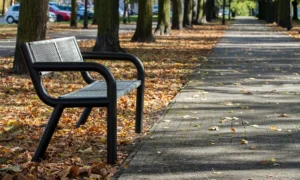 Lavička Viking Solid