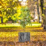 Městský květináč Neapol 80 L