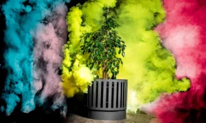 Kvetináč Oslo 80 L