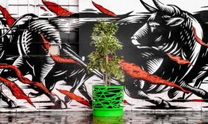 Městský květináč Ostrava 80l