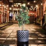 Květináč Split 80 L