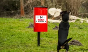 Koš na psí exkrementy Tobi