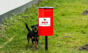 Koš na psí exkrementy Tobi