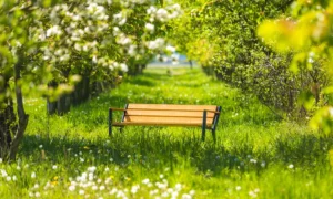 Lavička Gladiator BIS s dřevěnou loketní opěrkou