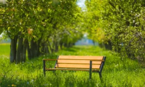 Lavička Gladiator BIS s dřevěnou loketní opěrkou