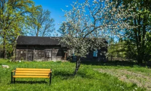 Lavička Gladiator BIS s dřevěnou loketní opěrkou