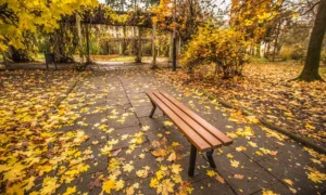 Lavička Gladiator bez opěradla