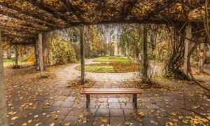 Lavička Gladiator bez opěradla