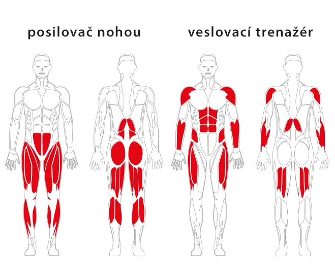 Veslovací trenažér a posilovač nohou JW 07 – JW 08