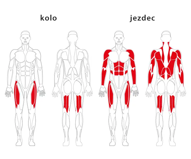 Cyklotrenažér a jezdecký trenažér JW 09 – JW 10