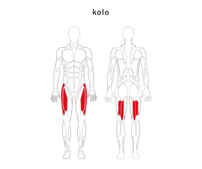 Cyklotrenažér - Kolo JW 14