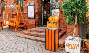 Odpadkový Koš Aster Bis