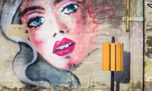 Odpadkový koš Ženeva