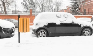 Odpadkový koš Ženeva