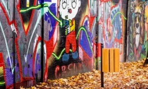 Odpadkový koš Ženeva