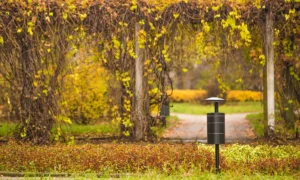 Odpadkový koš Městský II