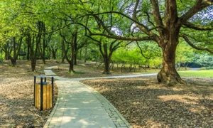 Odpadkový Koš Singiel