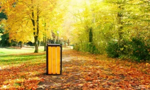Odpadkový Koš Singiel Bis