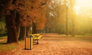 Odpadkový Koš Singiel Bis