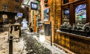 Odpadkový koš Sofia BIS