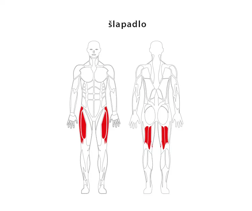 jw23_slapadlo_miesnie Šlapadlo JW 23